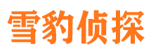 屏山市私家侦探